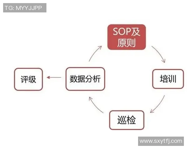 英超排球评论成都排球队的运营成效与挑战分析