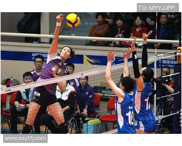 运动最新数据排球装备选购指南护具推荐助你安全畅享比赛乐趣