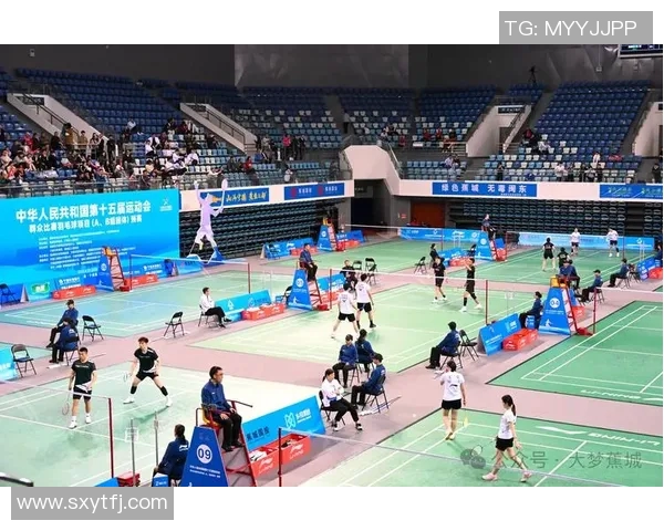 实时新闻全运会特别报道广州羽毛球队拼搏精神与辉煌成就的背后故事