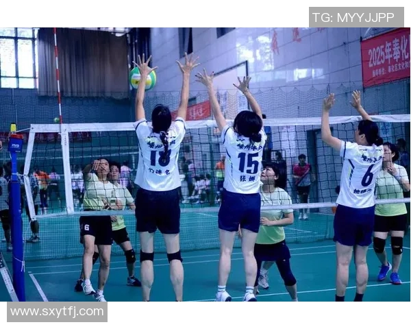 实时新闻排球比赛经验排行榜揭晓上海排球队荣获第九名成就辉煌